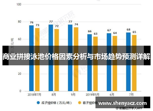 商业拼接泳池价格因素分析与市场趋势预测详解